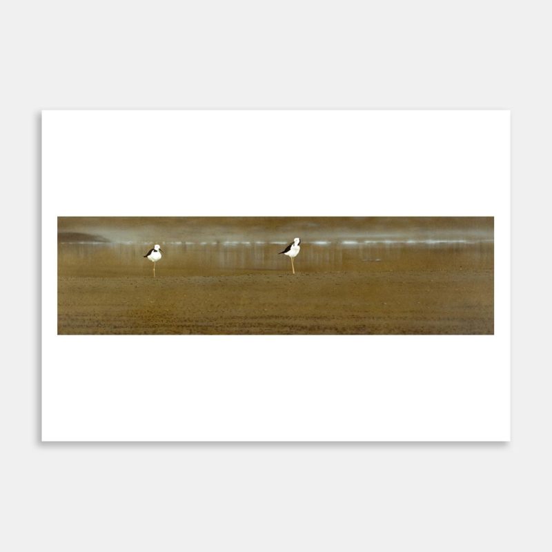 Stilts Art Print By Richard Coldicutt