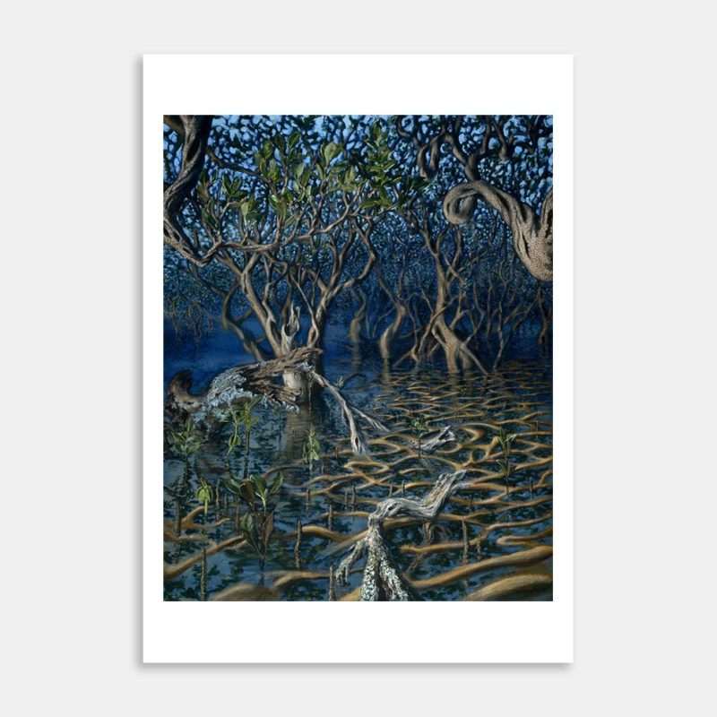 Mangroves Art Print By Richard Coldicutt