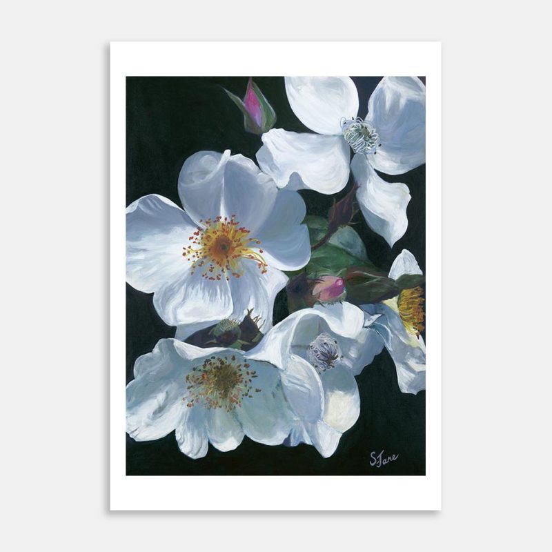 Briar Roses Art Print By Sarah-Jane Smith