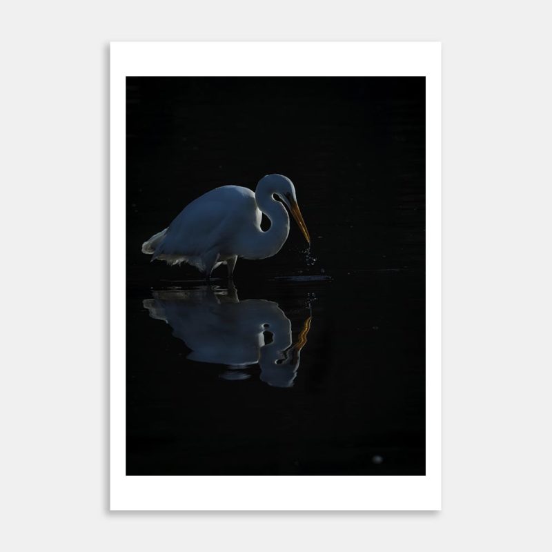 A Failed Strike Art Print By Angus McDonald