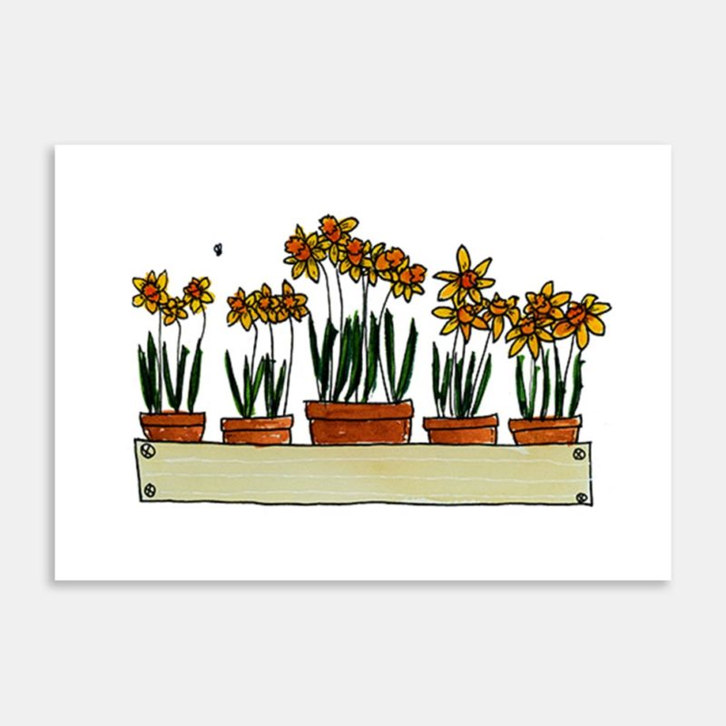 Daffodils In Pots Art Print By Jo Jago