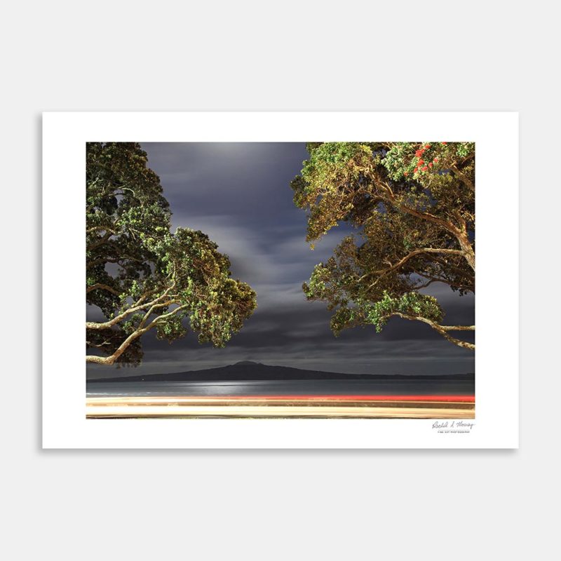 Pohutukawa Frame Art Print By Rachel Mooney