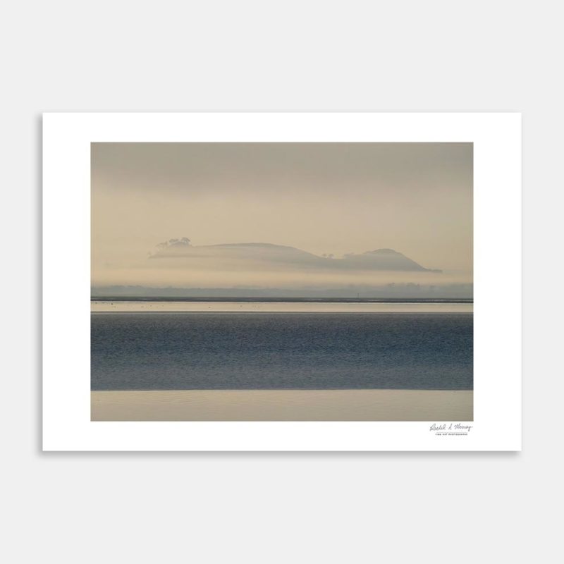 Shades of Dawn Art Print By Rachel Mooney