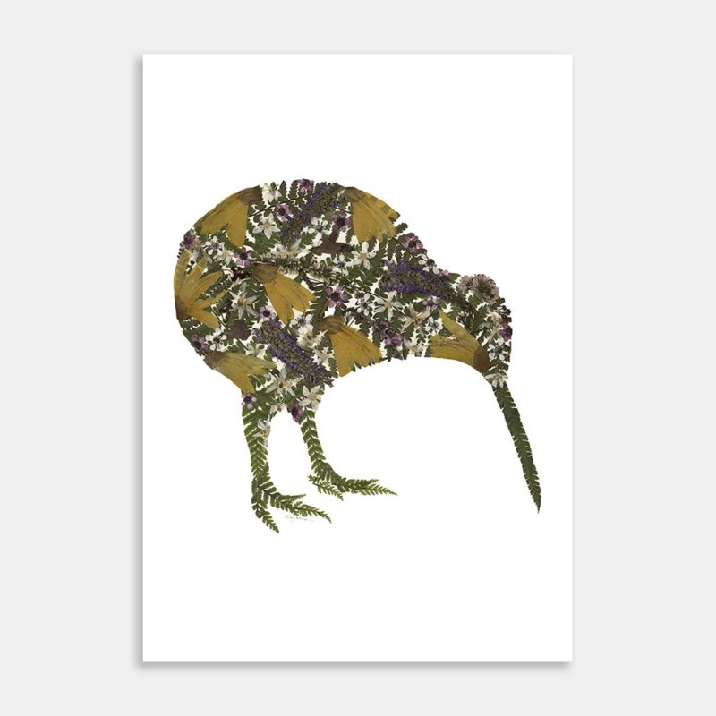 Kiwi Art Print By Kay Olsen
