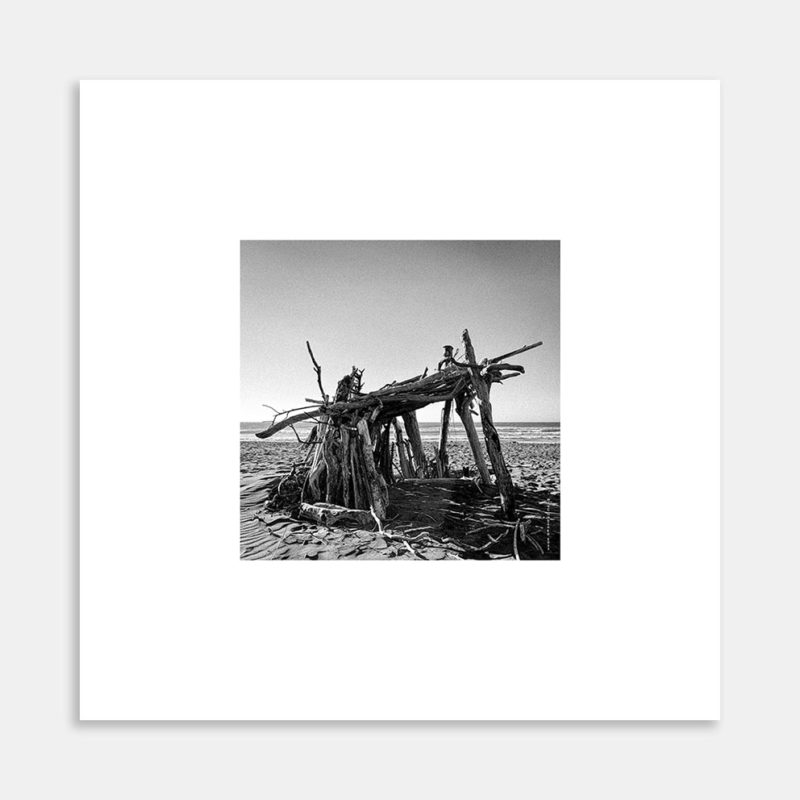 Driftwood 2022 No.3 Art Print By Micheal Haszard