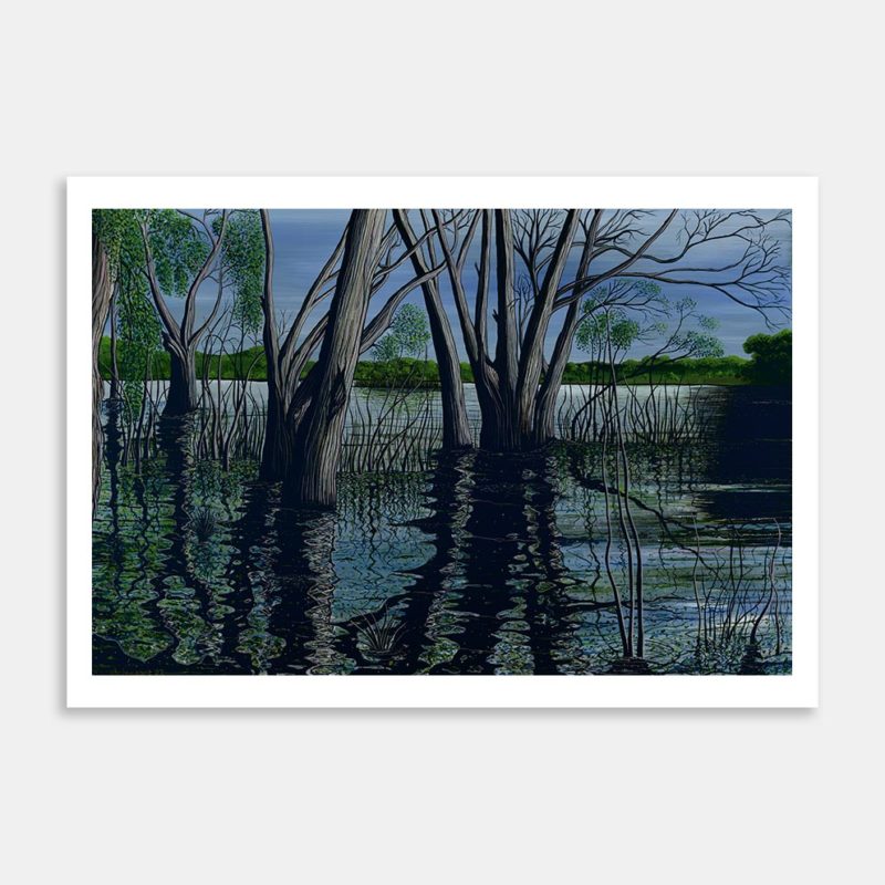 Reflections Art Print By Wayne Holmes