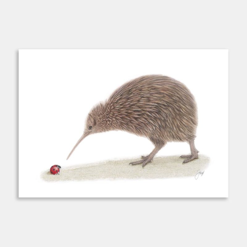 NZ Kiwi Art Print By Joanne Humphries