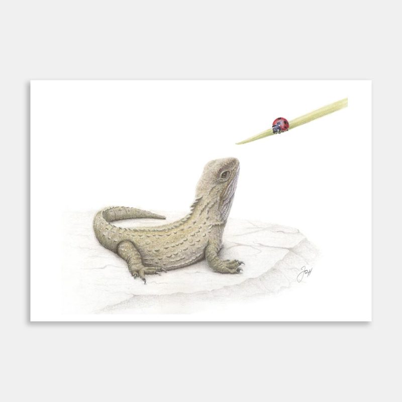 NZ Tuatara Art Print By Joanne Humphries