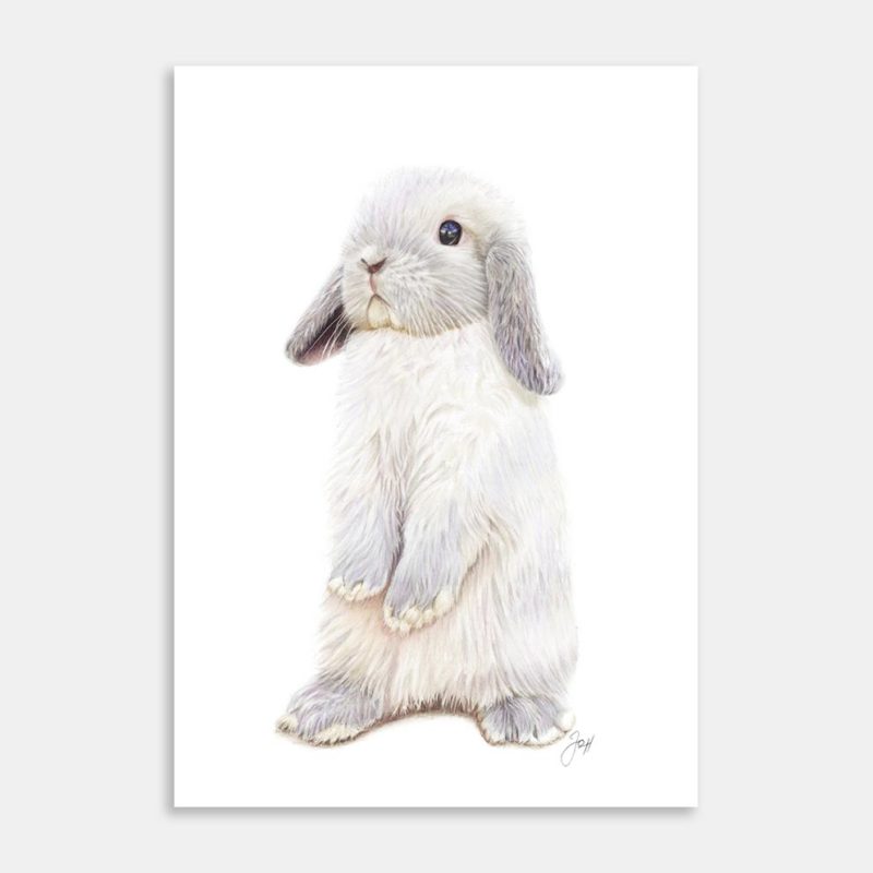 Alfie The Bunny Art Print By Joanne Humphries