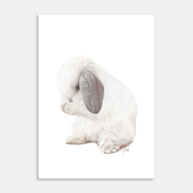 Alice The Bunny Art Print By Joanne Humphries