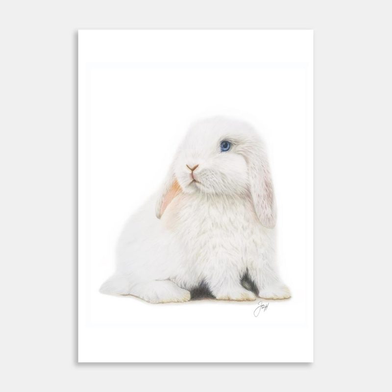 Lily The Bunny Art Print By Joanne Humphries