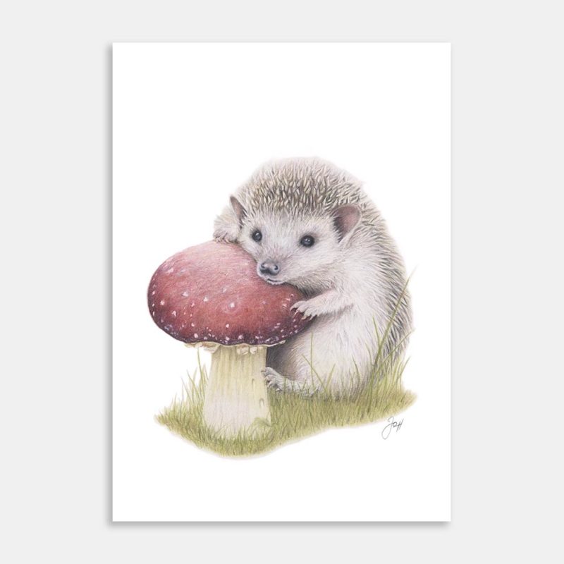 Woodland Hedgehog Art Print By Joanne Humphries