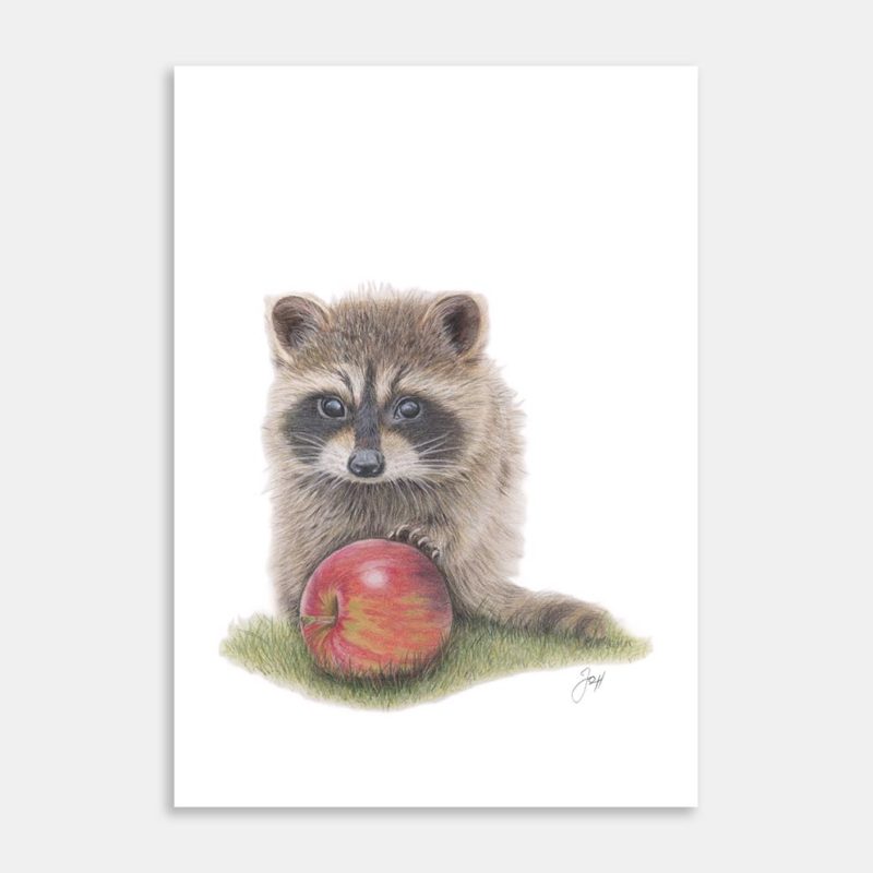Woodland Racoon Art Print By Joanne Humphries