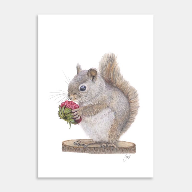 Woodland Squirrel Art Print By Joanne Humphries