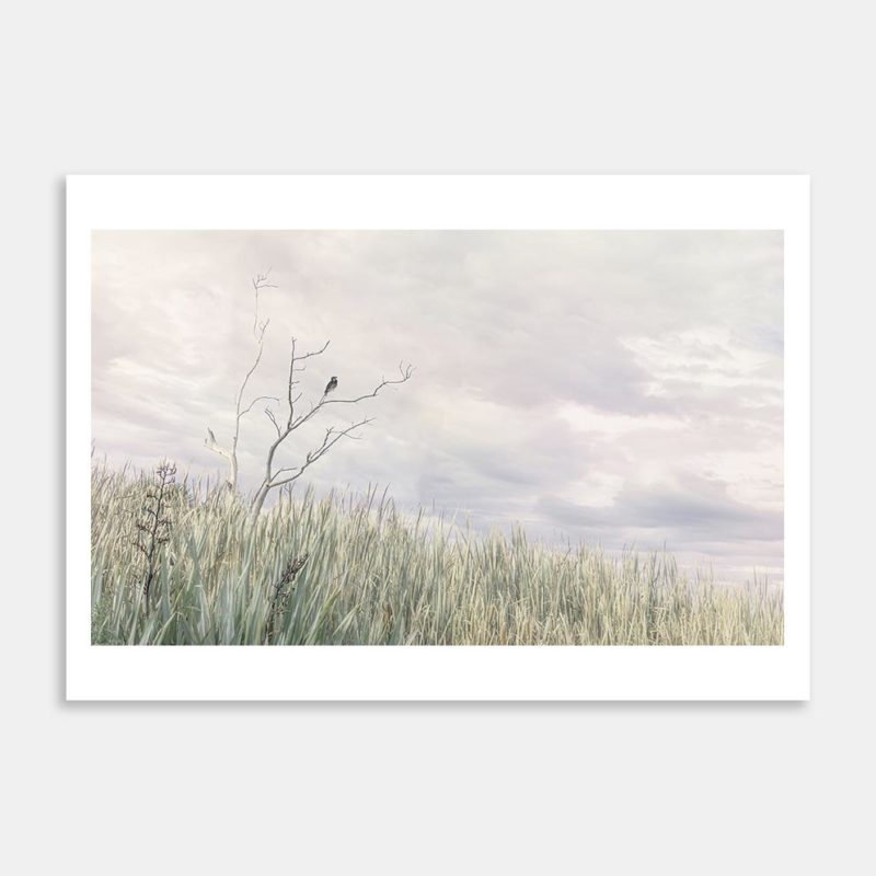 The Sentinel Art Print By Karla Denovan