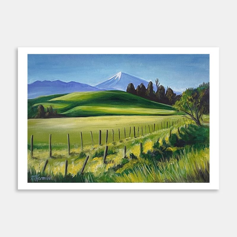 Taranaki Art Print By Martin Hermans