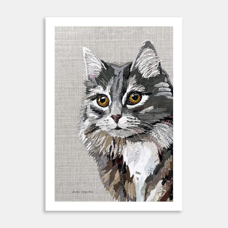 Cat Vault Tabby Close Up Art Print by Anthea Weir