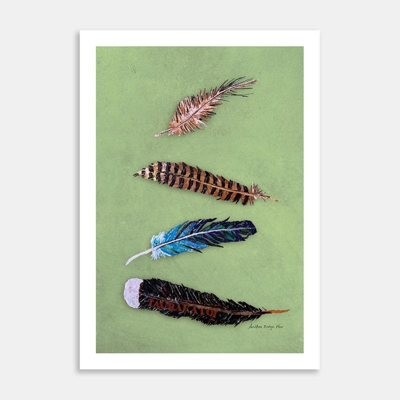 Feathers Art Print by Anthea Weir