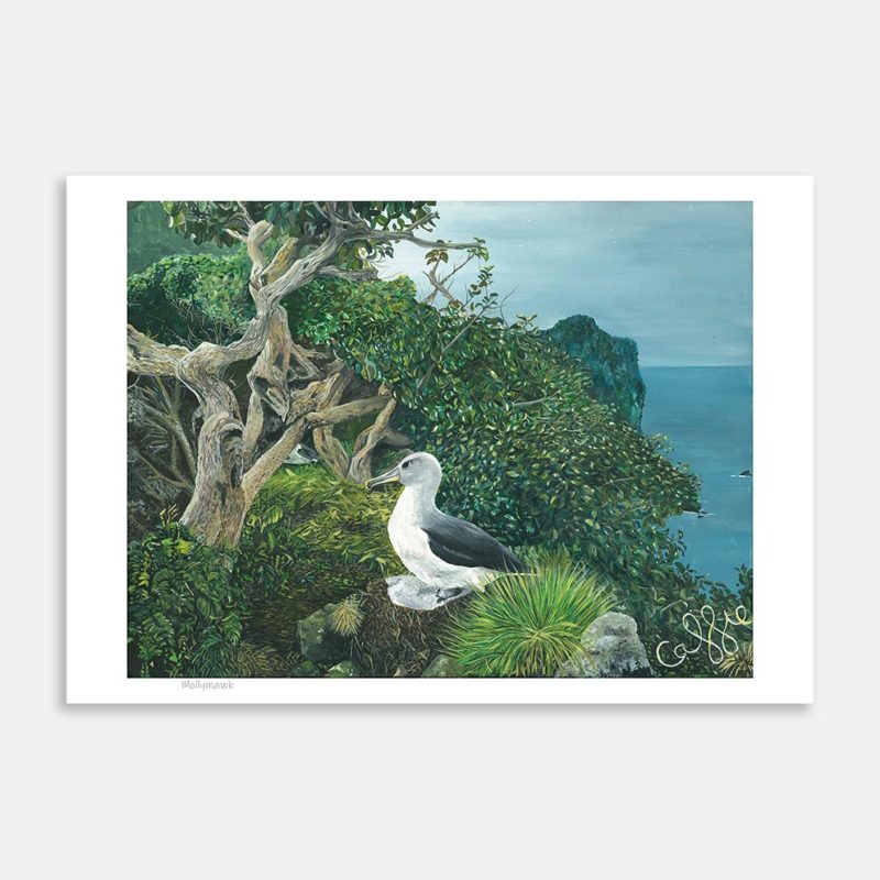 Mollyhawk Art Print By Cassie Newman