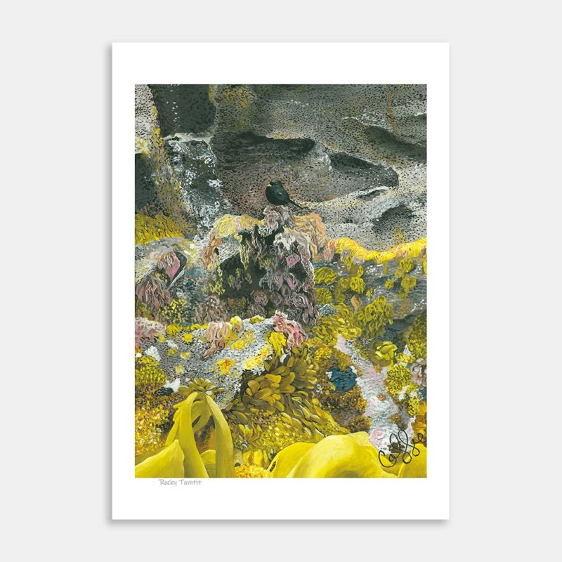 Rocky Tomtit Art Print By Cassie Newman