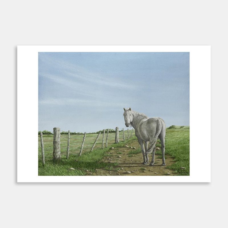 Caspers In The Back Paddock Art Print By Cathy Radford
