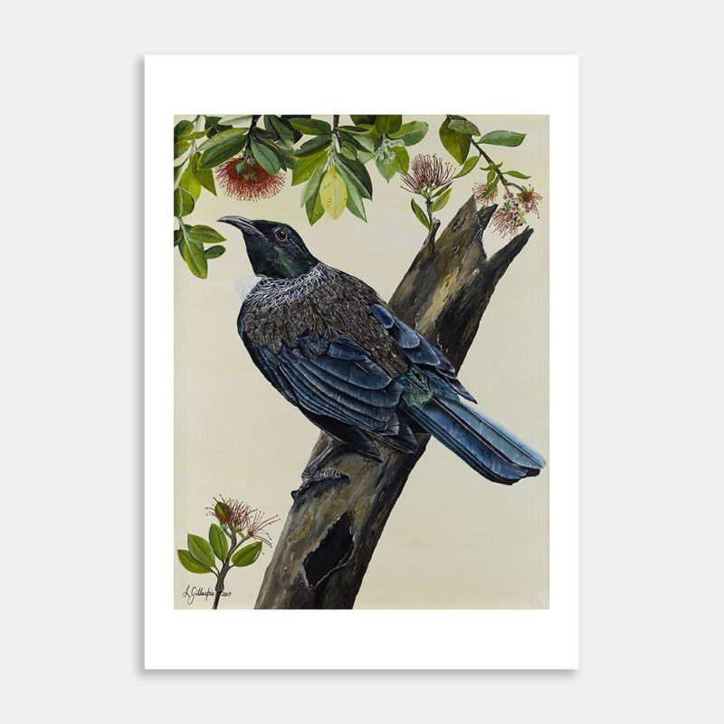 Tui Art Print By Lynn Fuller