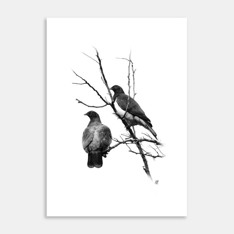 Kereru Art Print by Hiriwā Digital Art