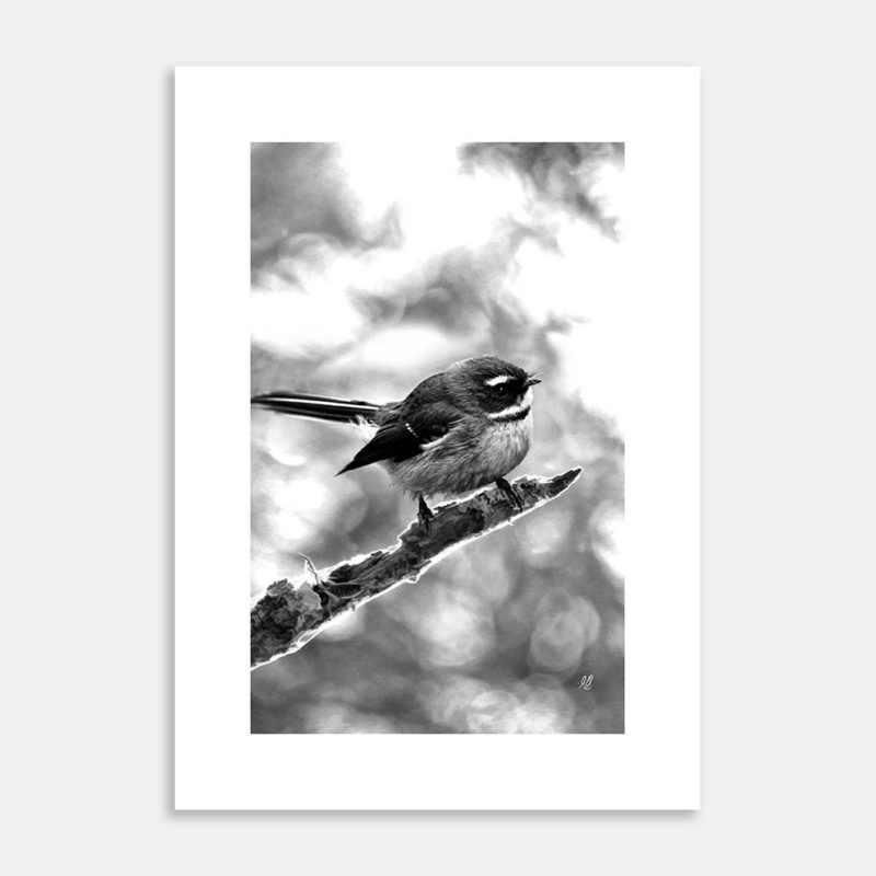 Piwakawaka Art Print by Hiriwā Digital Art