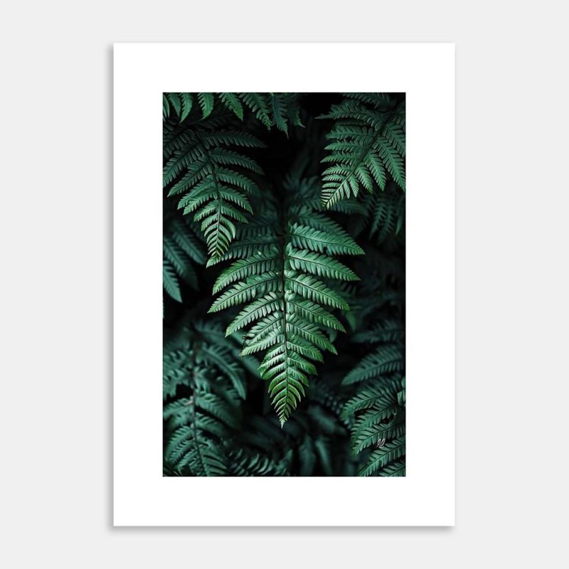 Sanctuary of Ferns Art Print by Hiriwā Digital Art