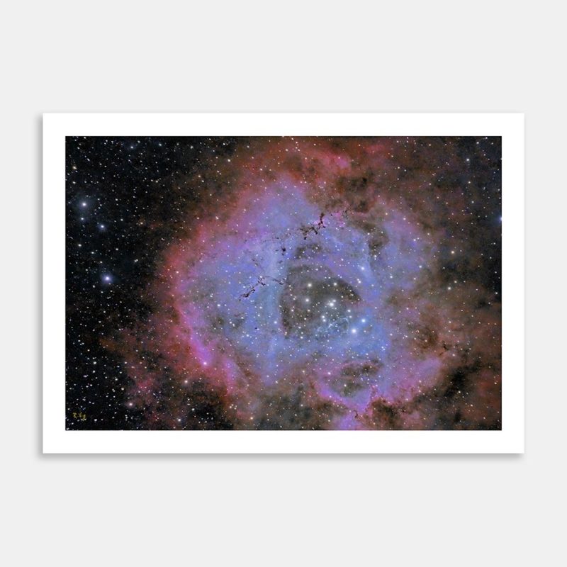 The Rosette Nebula Limited Edition Art Print By Rohit Vig
