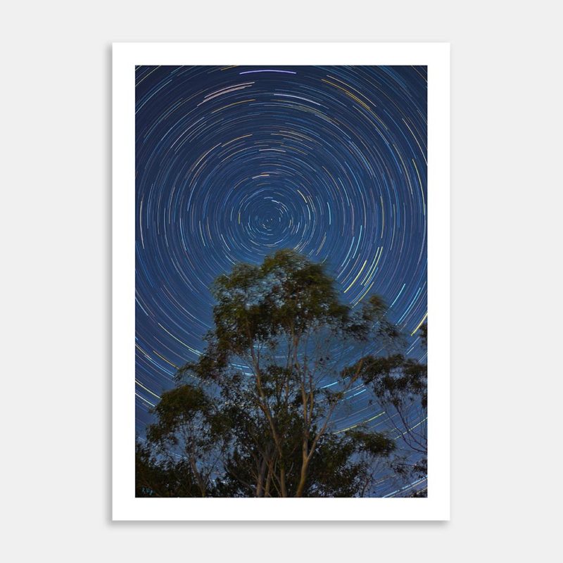 Star Trails Over The Gum Tree (Sydney) Limited Edition Art Print By Rohit Vig