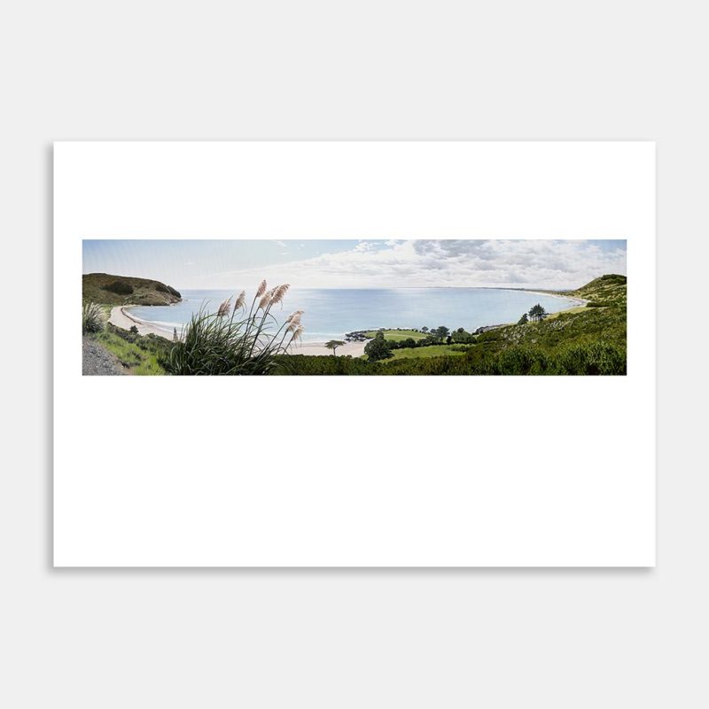 Ahipara Art Print By Vanessa Redfern