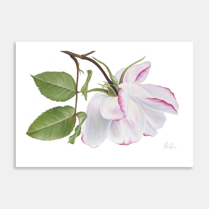 Grace Art Print By Vanessa Redfern