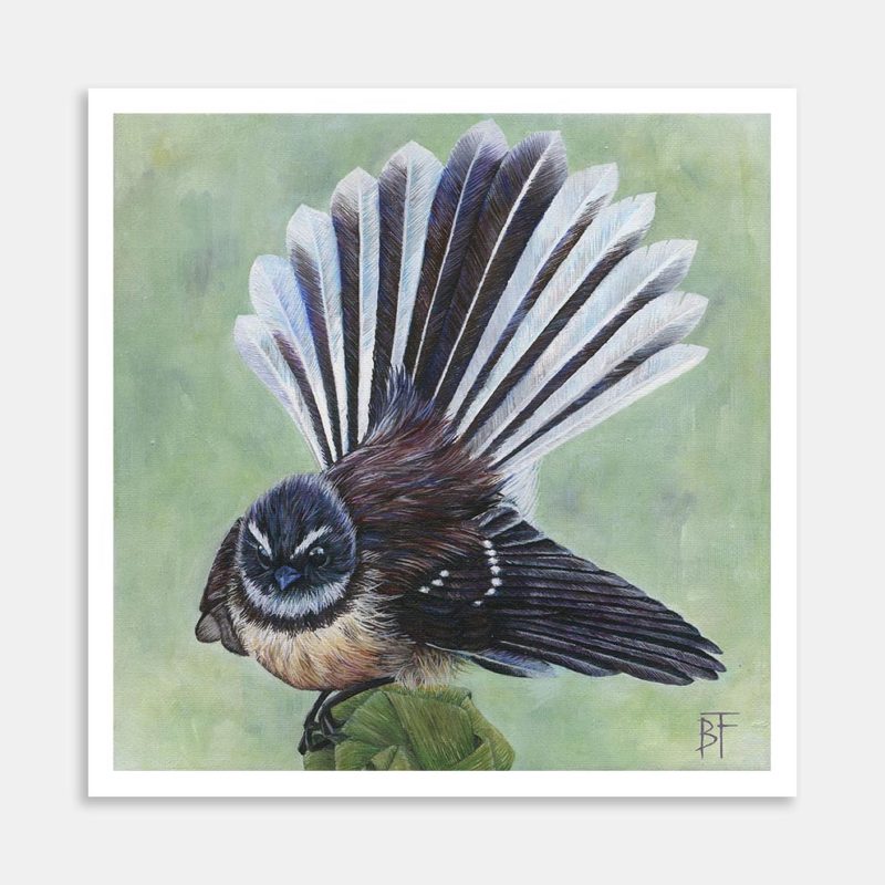 Fantail Art Print By Bree Fraser