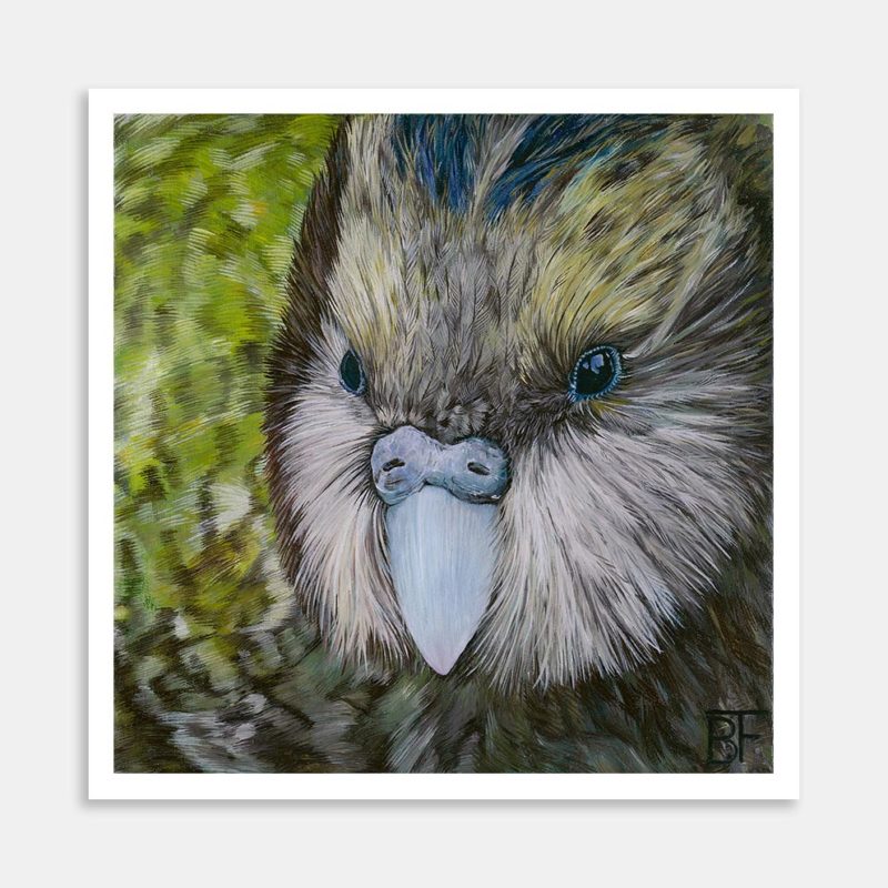 Kakapo Art Print By Bree Fraser