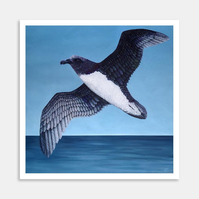 Tāiko Art Print By Bree Fraser