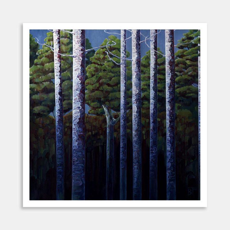 The Trees Art Print By Bree Fraser