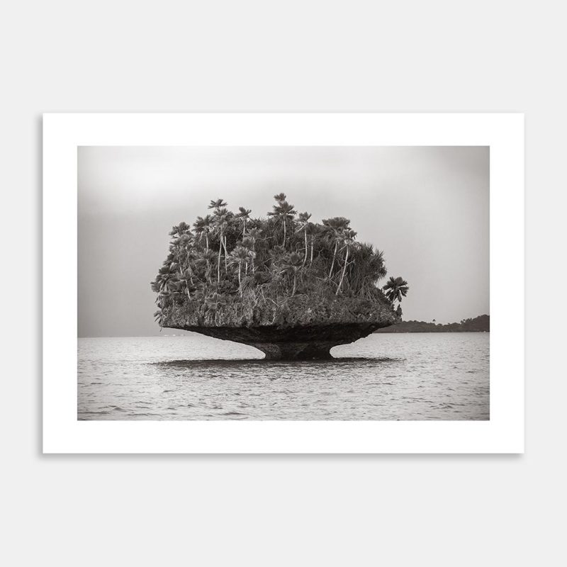 Limestone Moto Limited Edition Art Print By David Hartman