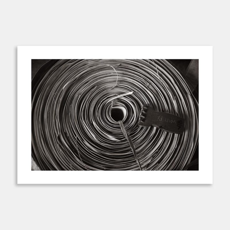 Pandanis Limited Edition Art Print By David Hartman