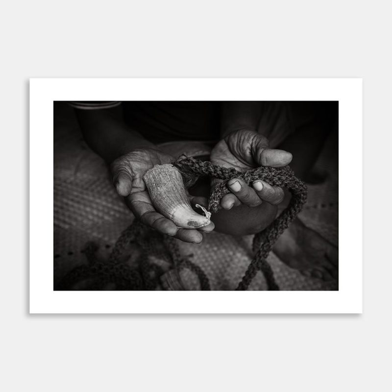 Whales Tooth Limited Edition Art Print By David Hartman