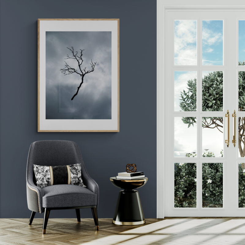 Hanging By A Thread Art Print By Judy Lawn - Image 3