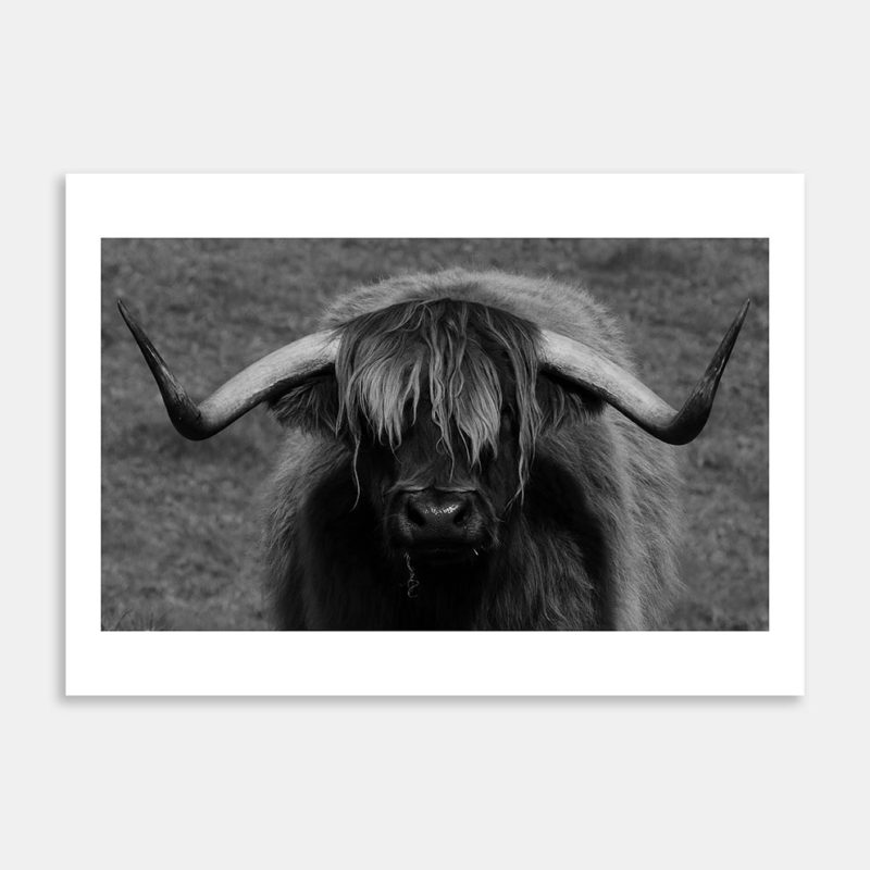 Good Hay Day Black and White Art Print By Judy Lawn