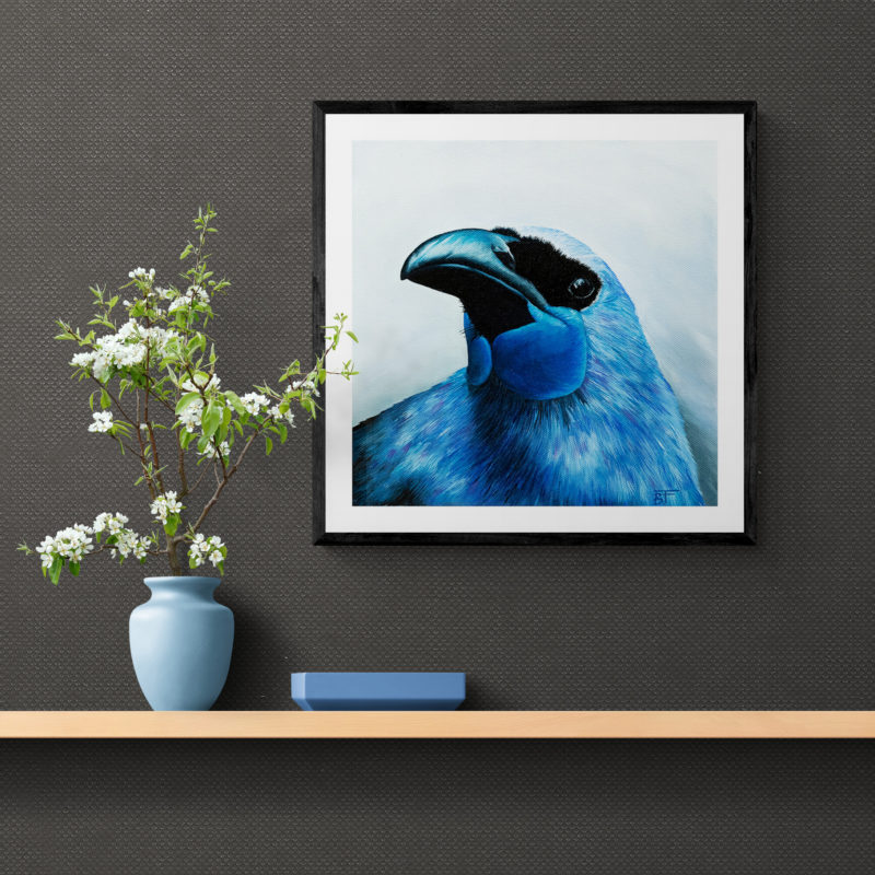 Kokako Art Print By Bree Fraser - Image 2