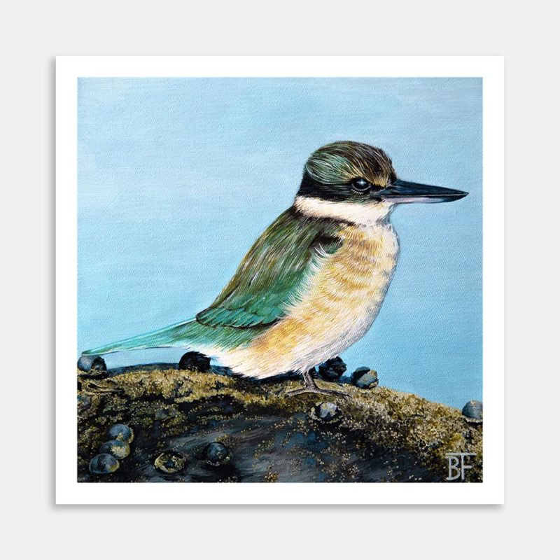 Kotare The Second Art Print By Bree Fraser