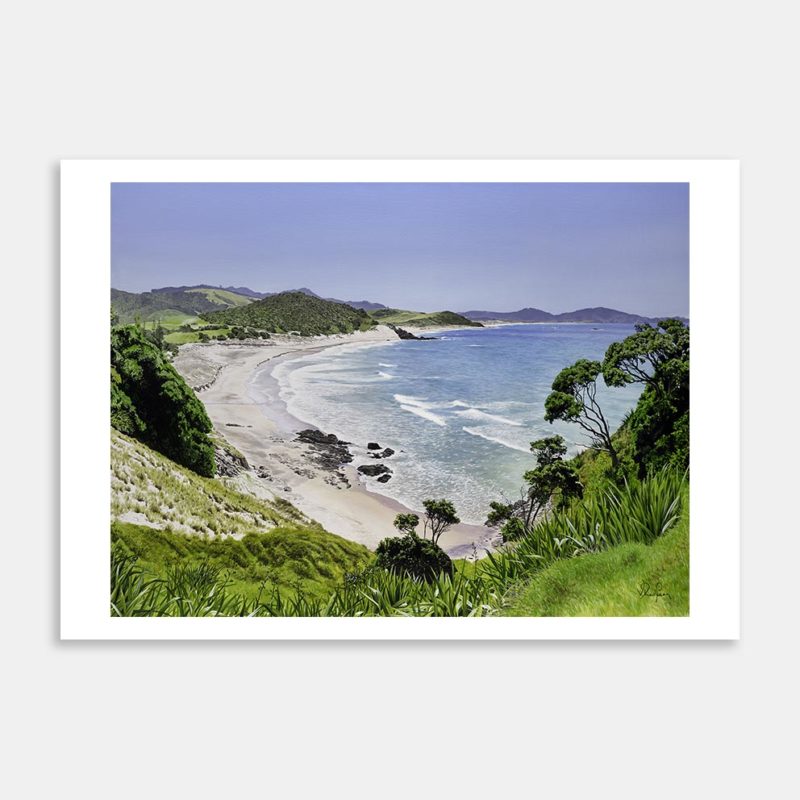 Ocean Beach South End View Art Print By Vanessa Redfern