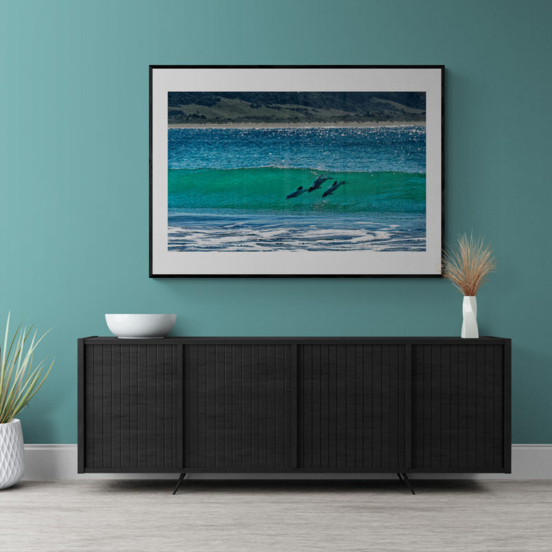 Hectors Dolphins Surfing Porpoise Bay Art Print By Gary Webber - Image 2