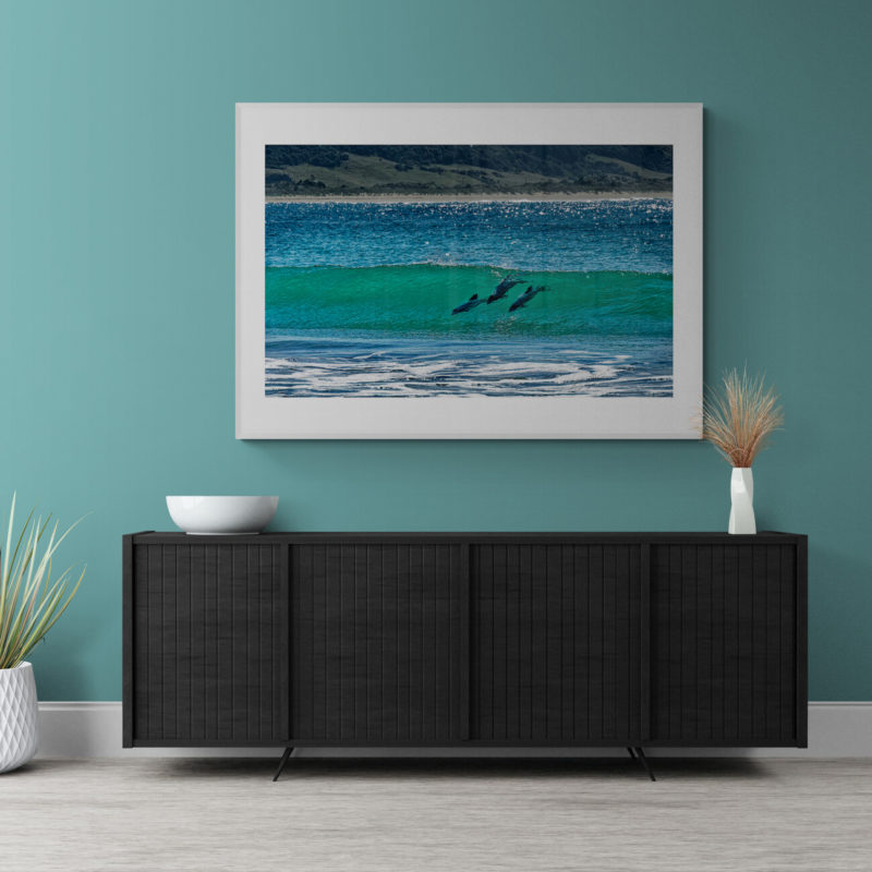 Hectors Dolphins Surfing Porpoise Bay Art Print By Gary Webber - Image 4