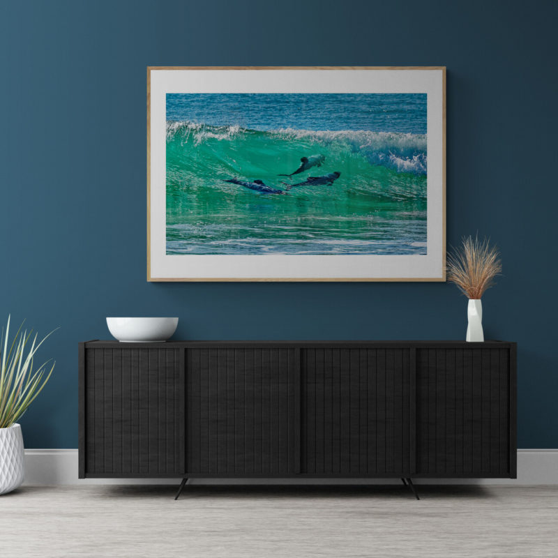 Hectors Dolphins Wave Riders Porpoise Bay Art Print By Gary Webber - Image 3