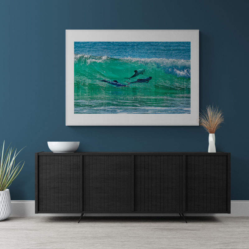 Hectors Dolphins Wave Riders Porpoise Bay Art Print By Gary Webber - Image 4
