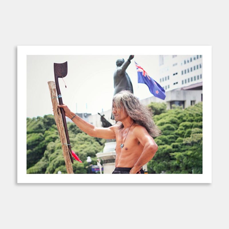 Pride Of New Zealand Art Print By Harry Shelswell